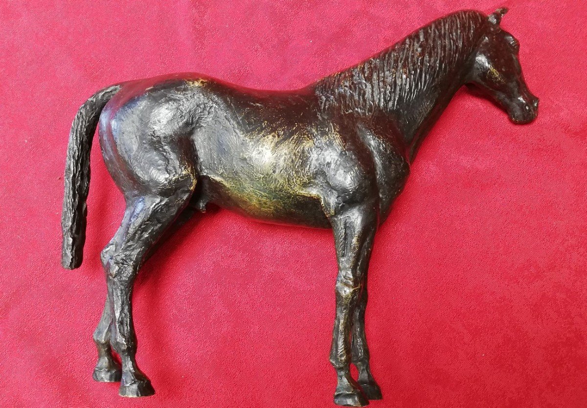 Bronze Horse-photo-6