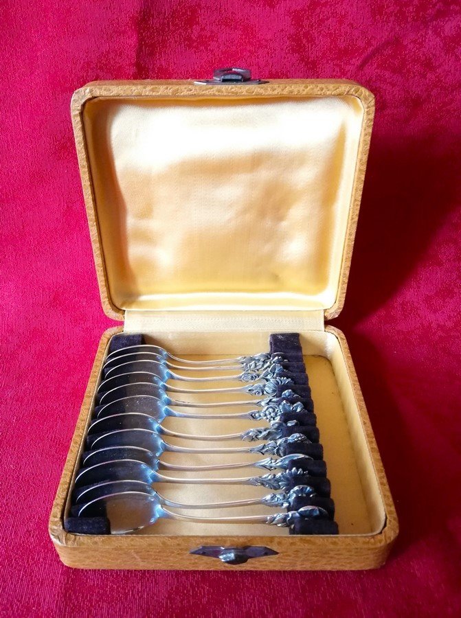 Twelve Mocha Spoons In A Box