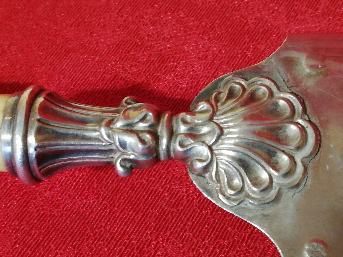 Silver Fish Shovel -photo-3