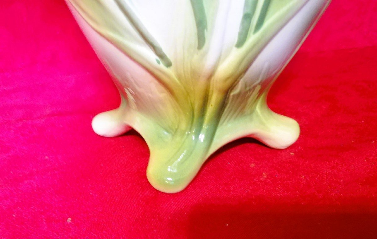 Vase aux iris -photo-6