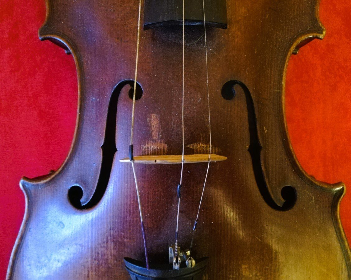 Violon 4/4 Italien -photo-4