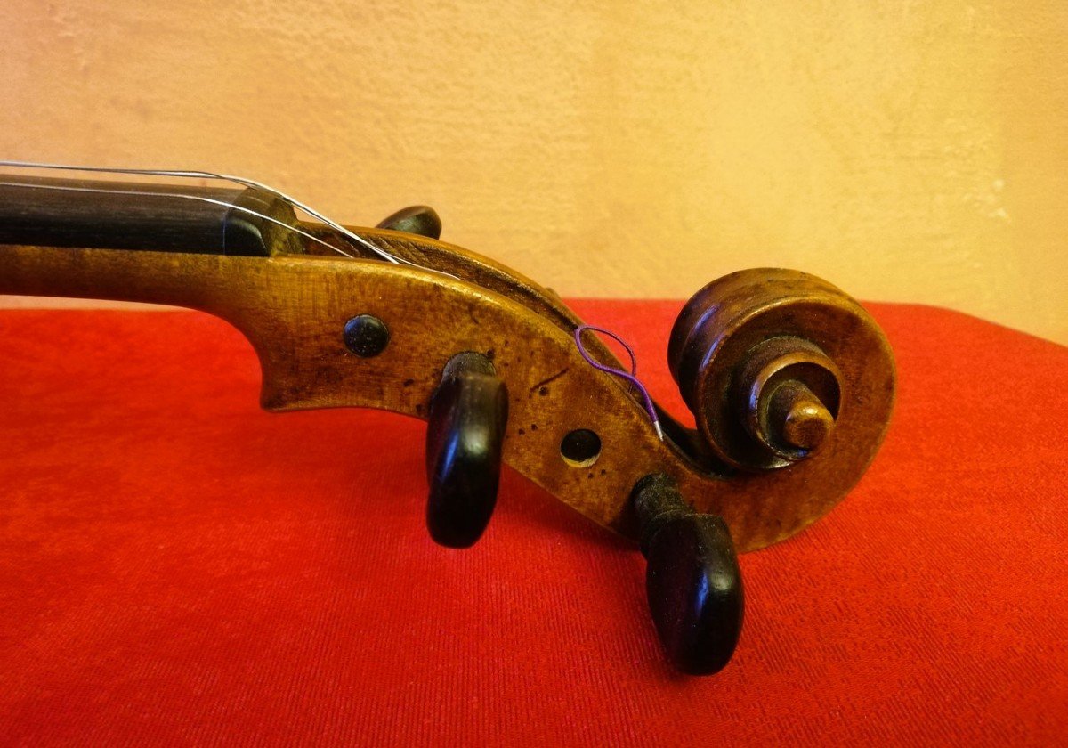 Violon 4/4 Italien -photo-5