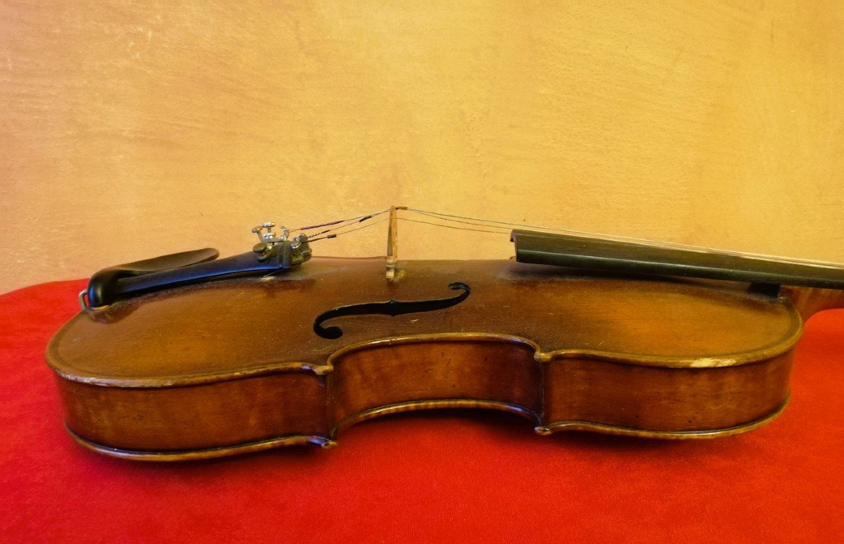 Violon 4/4 Italien -photo-6