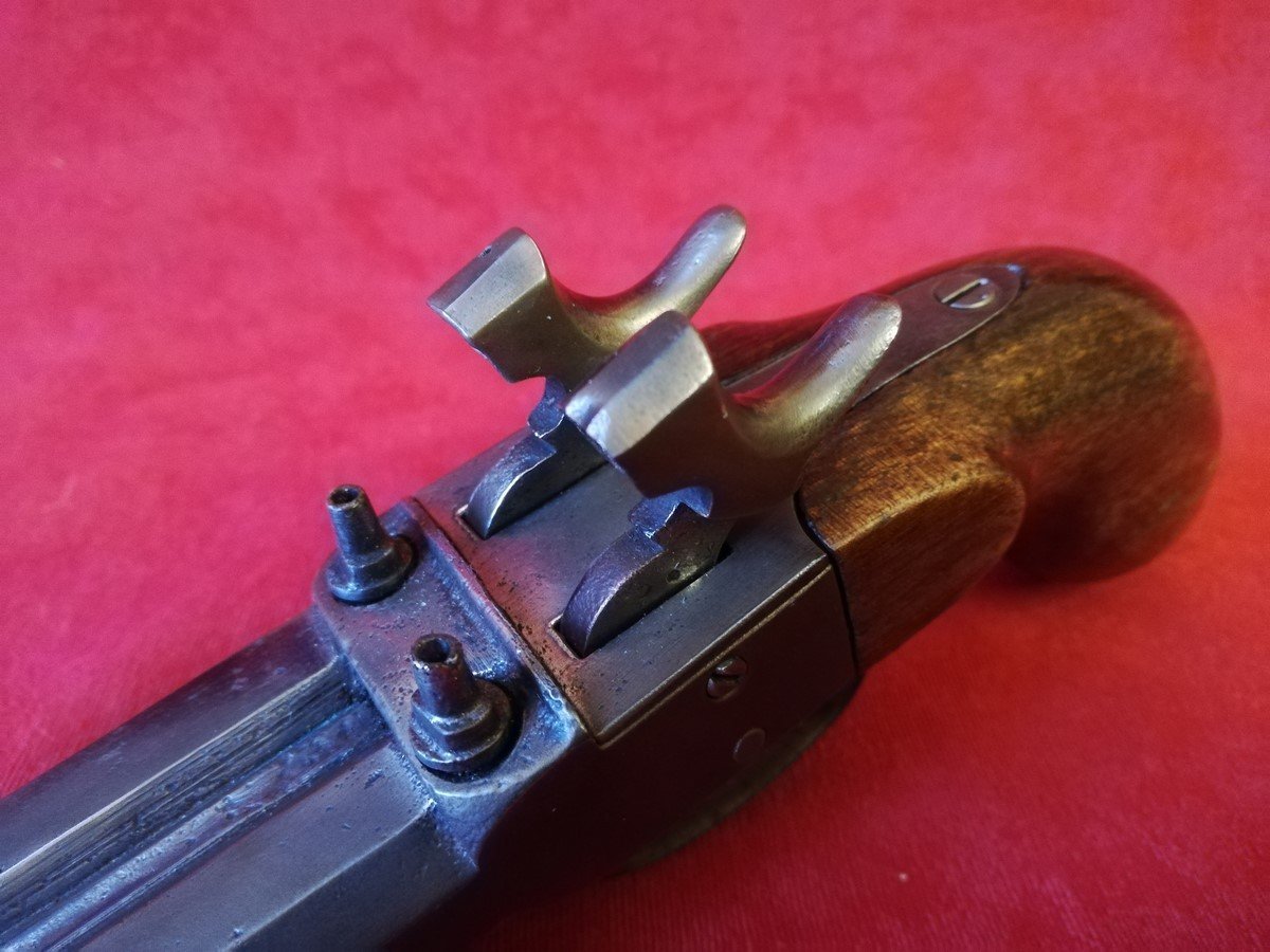 Double Barrel Pistol -photo-4