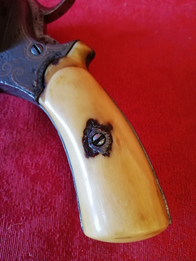 Pinfire Barrel Pistol-photo-2