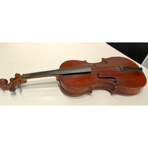 Grand Gérard's Viola 