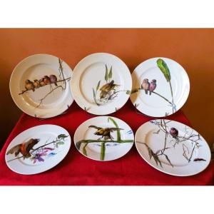 Suite de six assiettes et plats