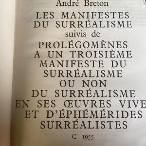 Ouvrage Sur Le Surréalisme édition Du Sagittaire Complet Photos Textes Avec Sa Loupe.