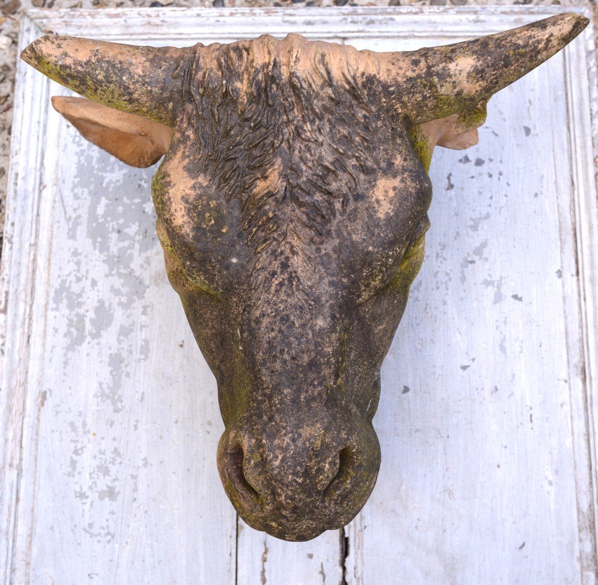 Enseigne de Boucherie fin 19ème, Tête de Vache en Terre Cuite-photo-4