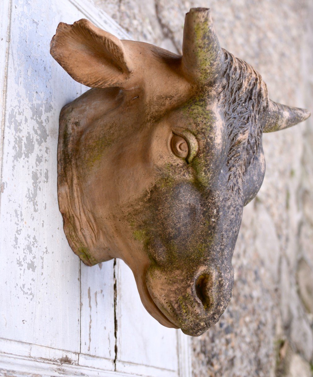 Enseigne de Boucherie fin 19ème, Tête de Vache en Terre Cuite