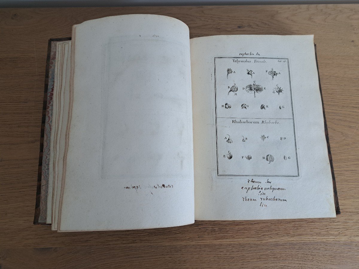 Instituones Rei Herbariae , Tome II , Joseph Pitton De Tournefort, Début XVIII°. -photo-4