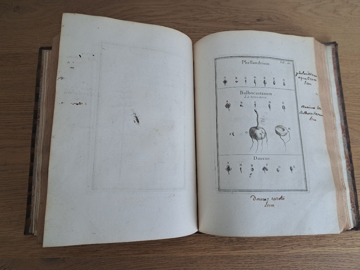 Instituones Rei Herbariae , Tome II , Joseph Pitton De Tournefort, Début XVIII°. -photo-5