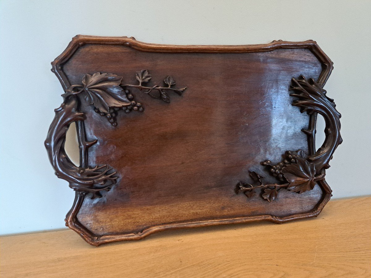 Indochinese Plateau, Rosewood, Early 20th Century. -photo-4