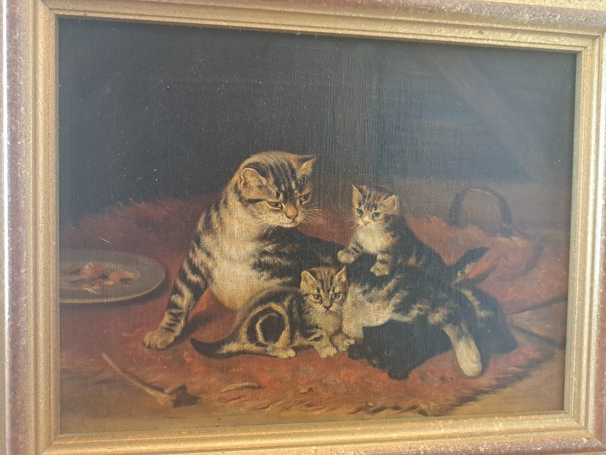 d'Après John Henry Dolph , Chat Et Chatons , Huile Sur Toile , XX°. -photo-4