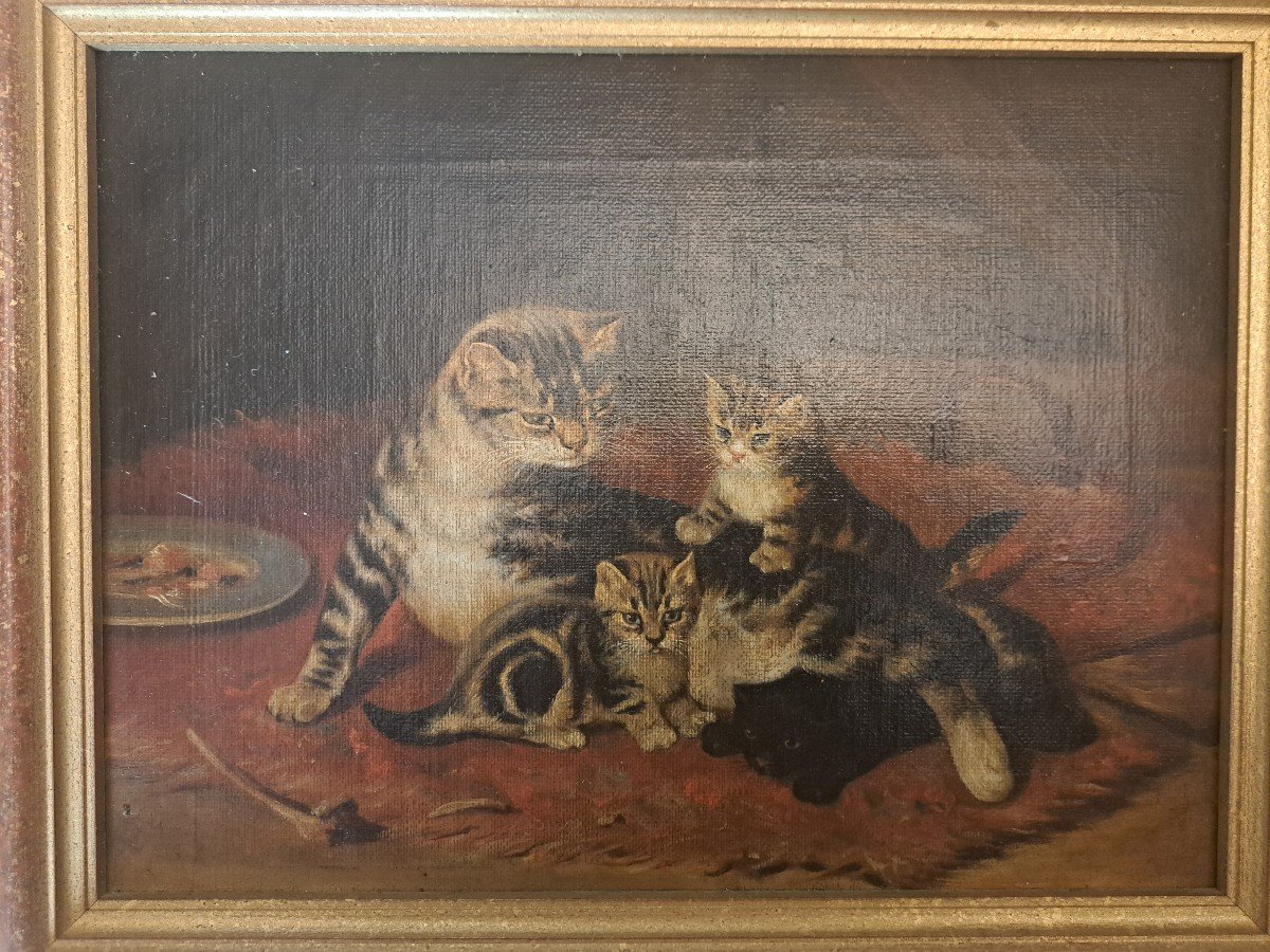 d'Après John Henry Dolph , Chat Et Chatons , Huile Sur Toile , XX°. -photo-1