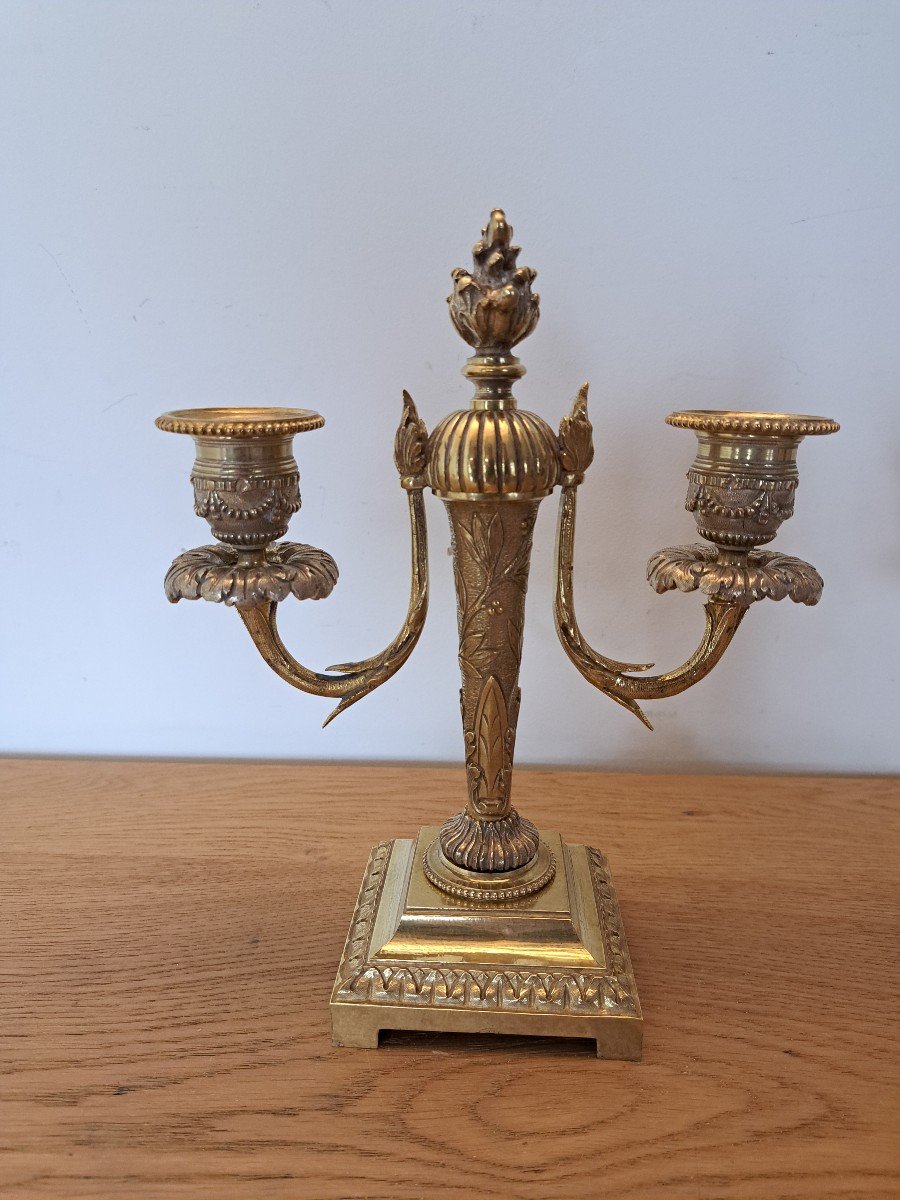 Pair Of Candelabra, Gilt Bronze, Louis XVI, Late 19th Century. -photo-4