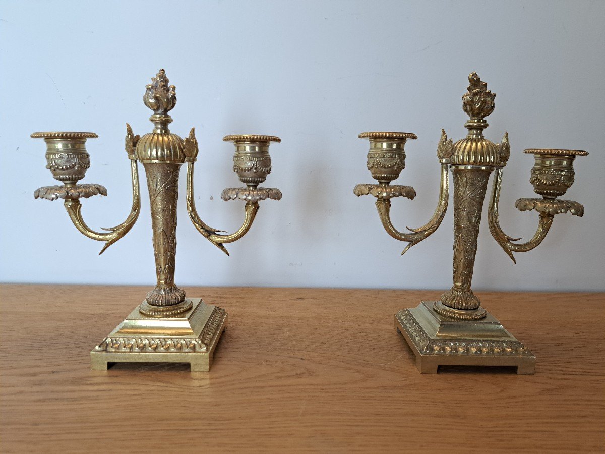 Pair Of Candelabra, Gilt Bronze, Louis XVI, Late 19th Century. -photo-1