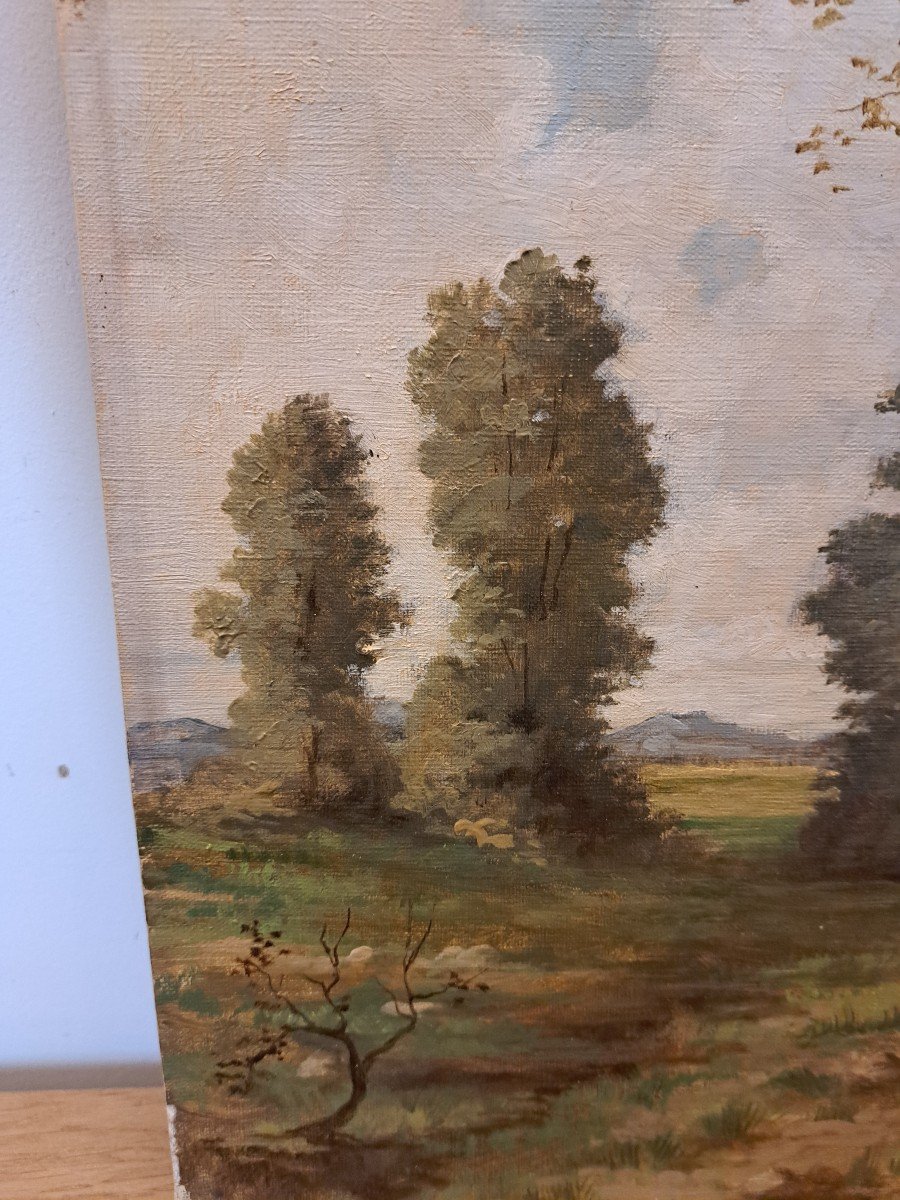 Ecole De Barbizon ,  Paysage De Sous Bois , Huile Sur Toile , XIX°. -photo-4