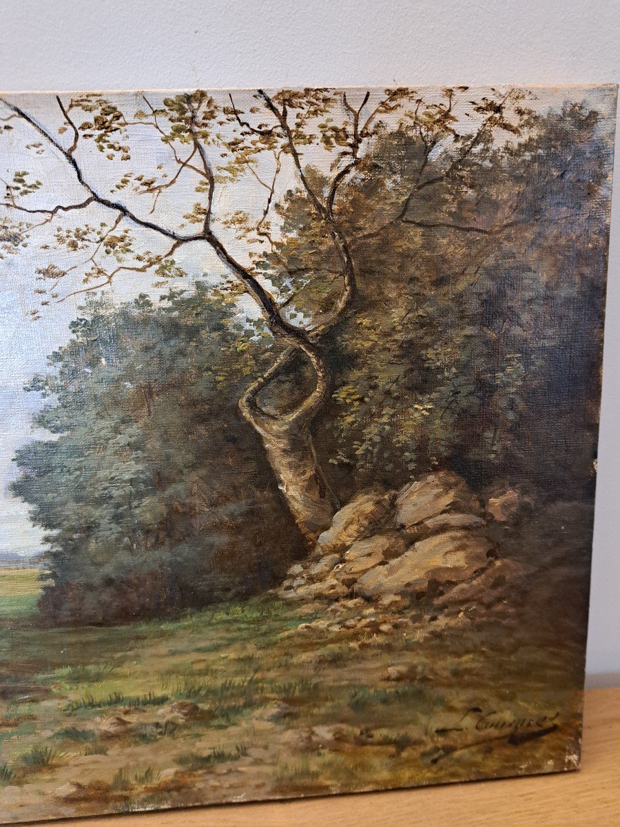 Ecole De Barbizon ,  Paysage De Sous Bois , Huile Sur Toile , XIX°. -photo-1