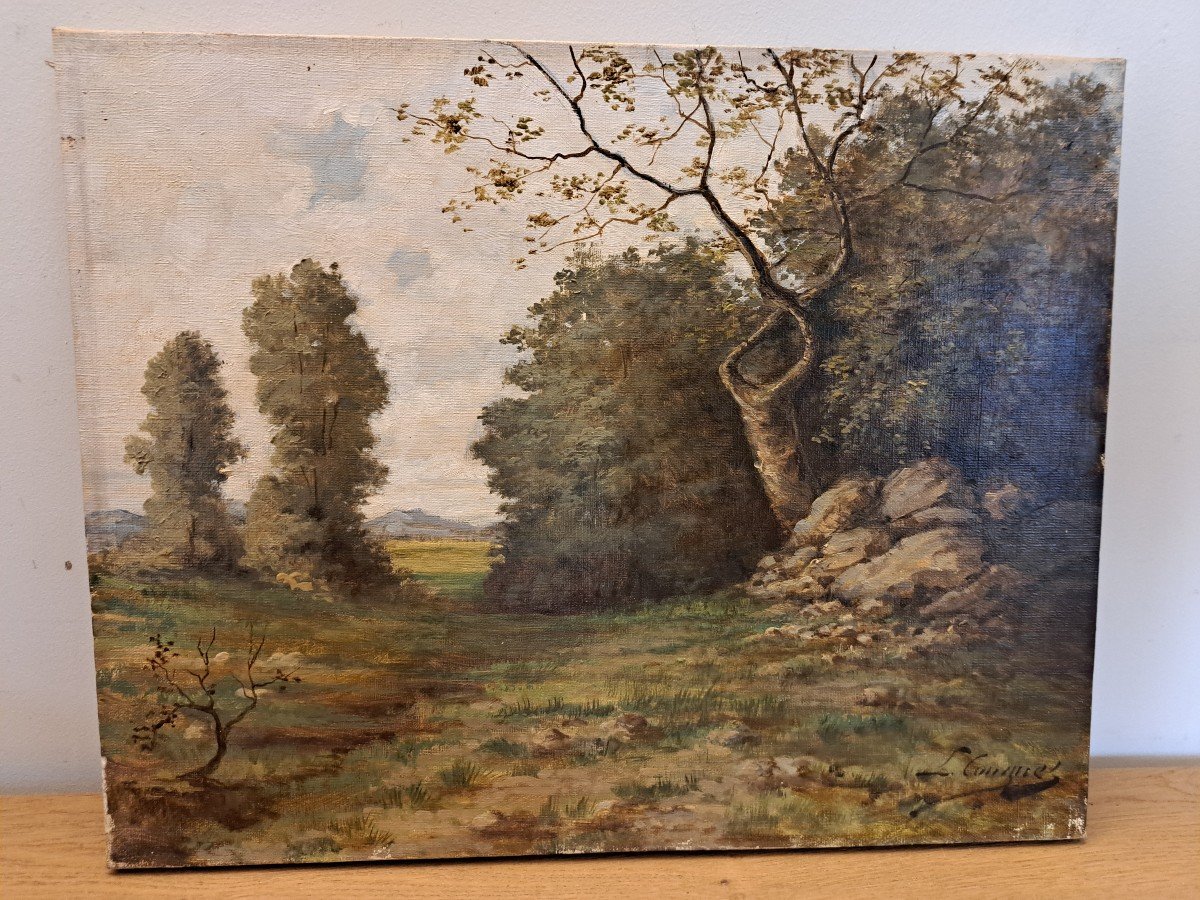 Ecole De Barbizon ,  Paysage De Sous Bois , Huile Sur Toile , XIX°. -photo-2