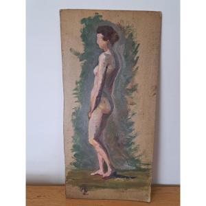 Studio Nude, Oil On Cardboard, 20th Century. 