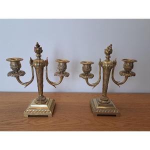 Pair Of Candelabra, Gilt Bronze, Louis XVI, Late 19th Century. 