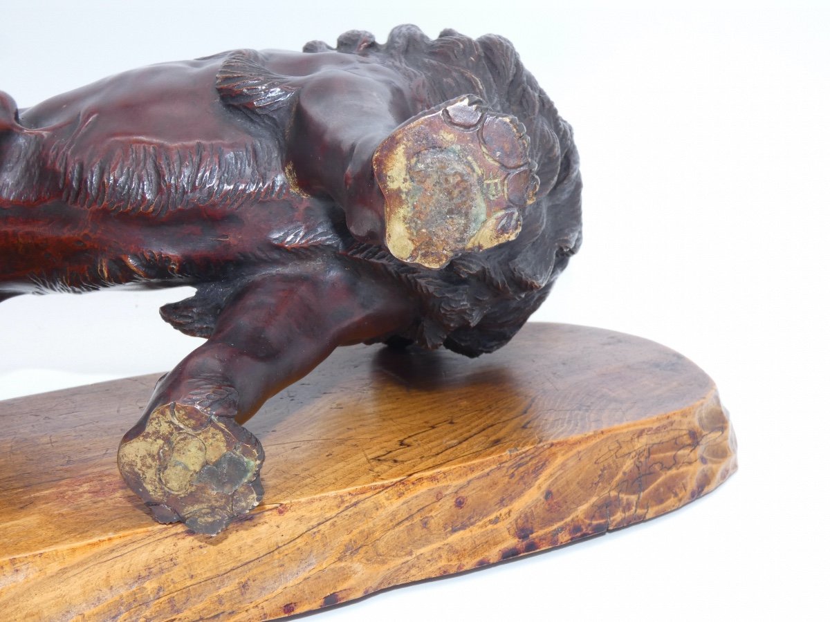 Sculpture En Bronze Japonaise Representant Un Lion Meiji-photo-5