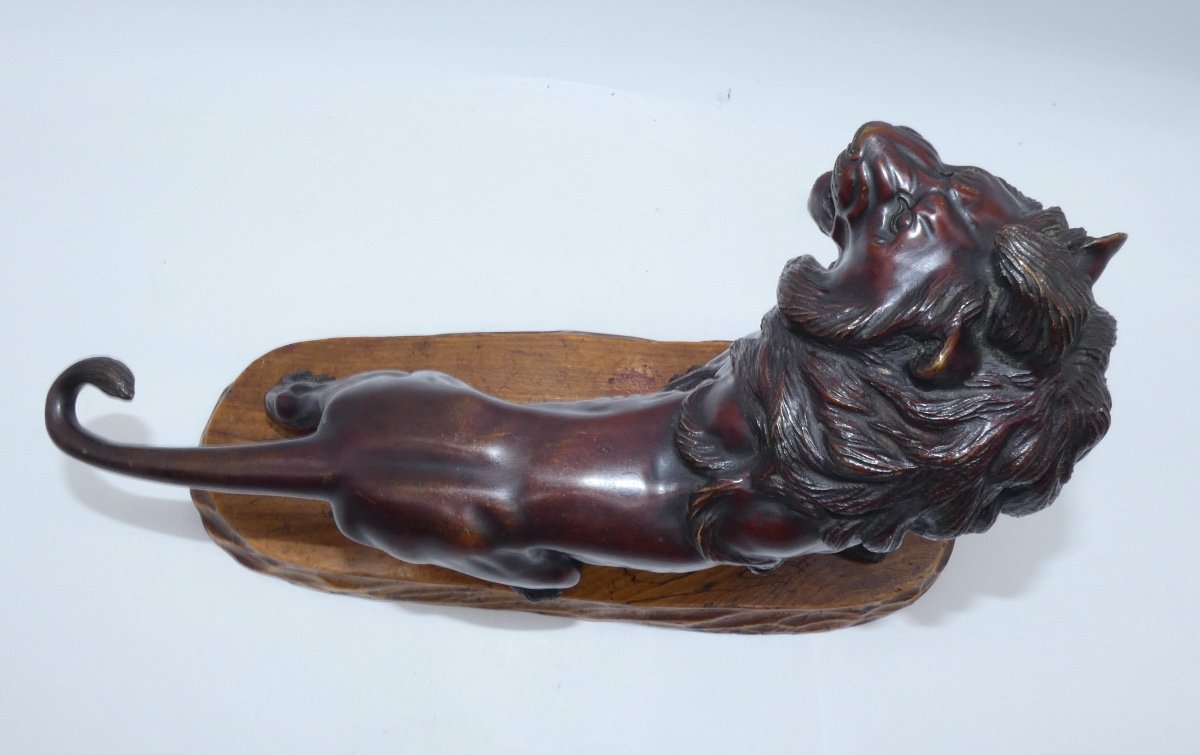 Sculpture En Bronze Japonaise Representant Un Lion Meiji-photo-6