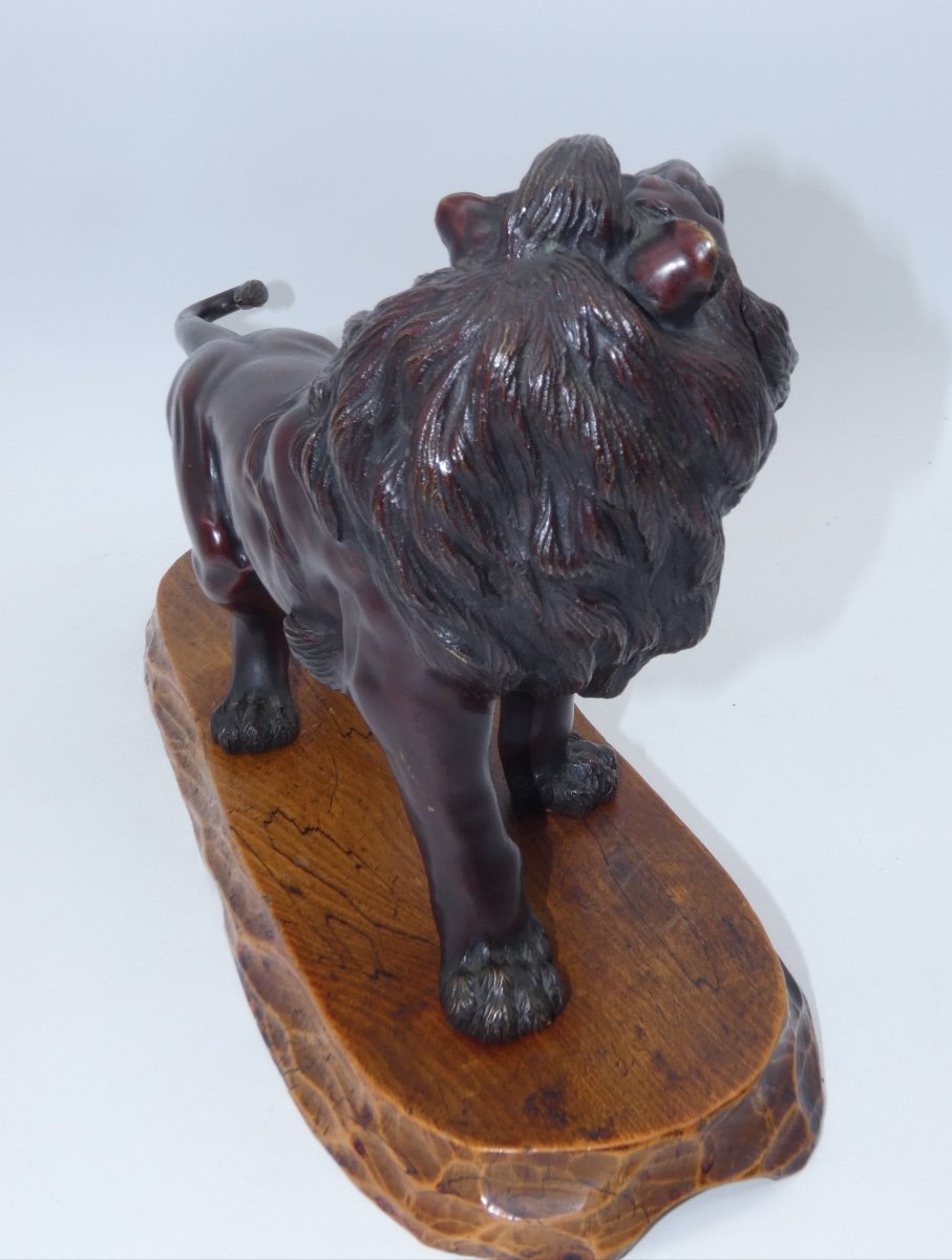 Sculpture En Bronze Japonaise Representant Un Lion Meiji-photo-8