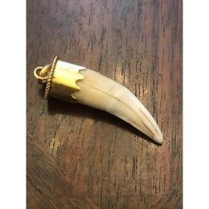 Tooth With 18k Gold Mount 