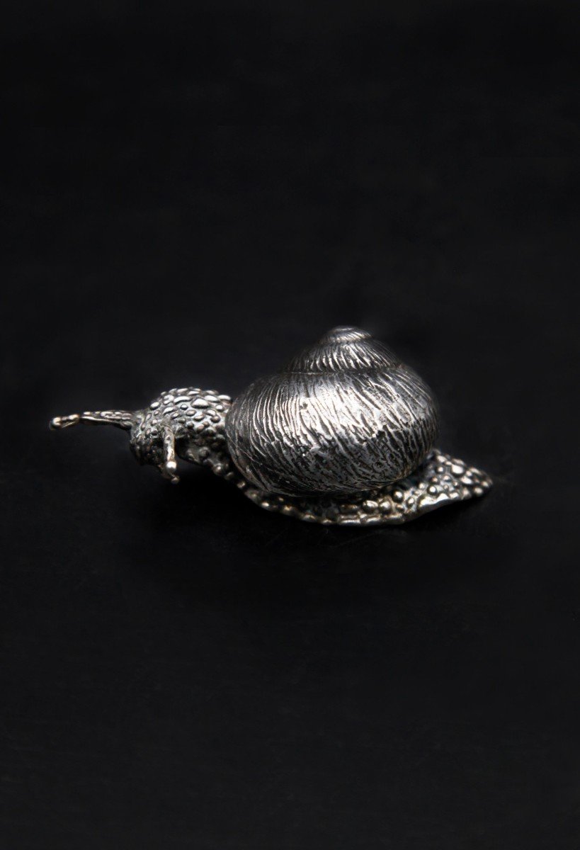 Small Snail In Sterling Silver-photo-3