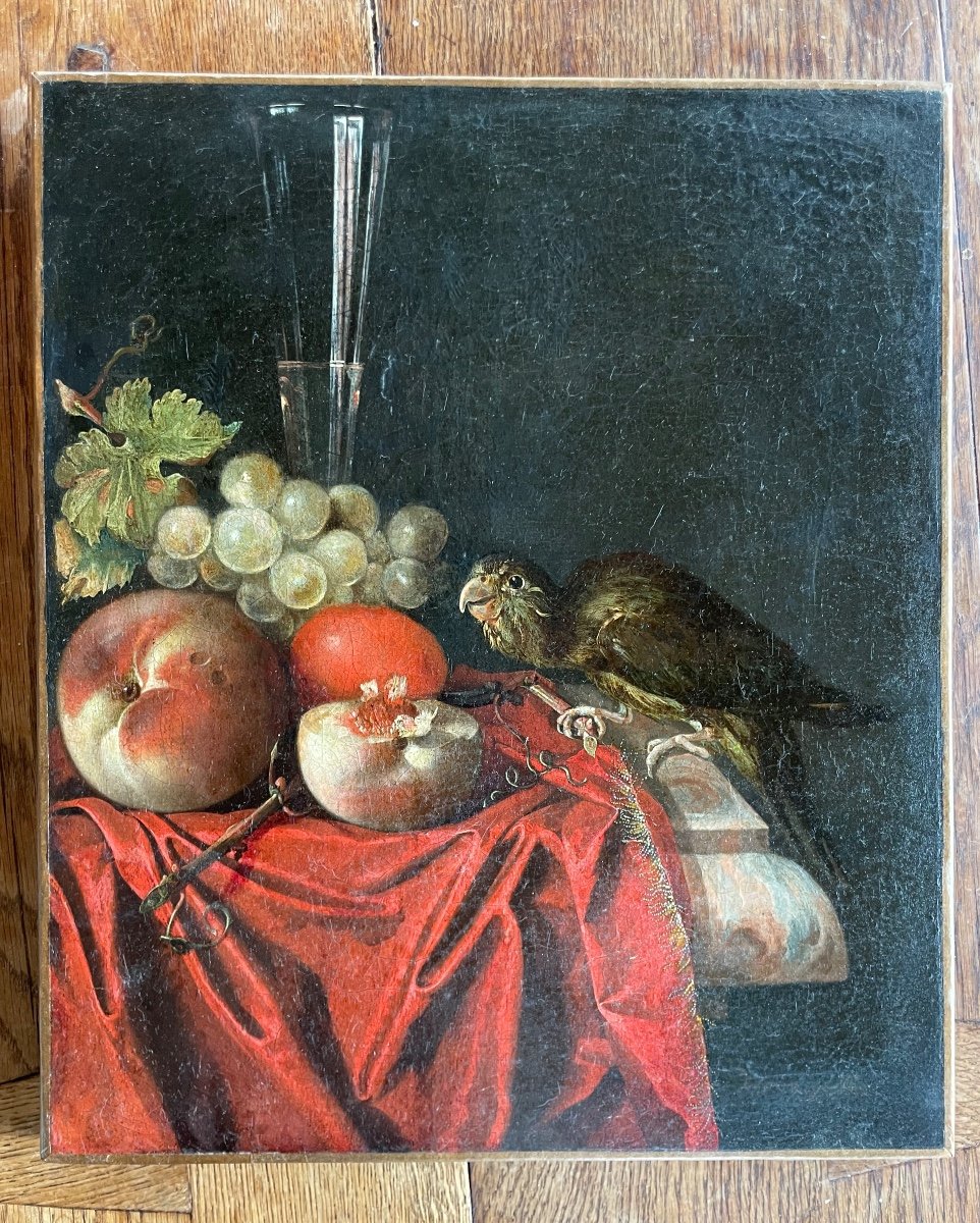 Willem Frederik Van Royen Still Life With Parakeet 