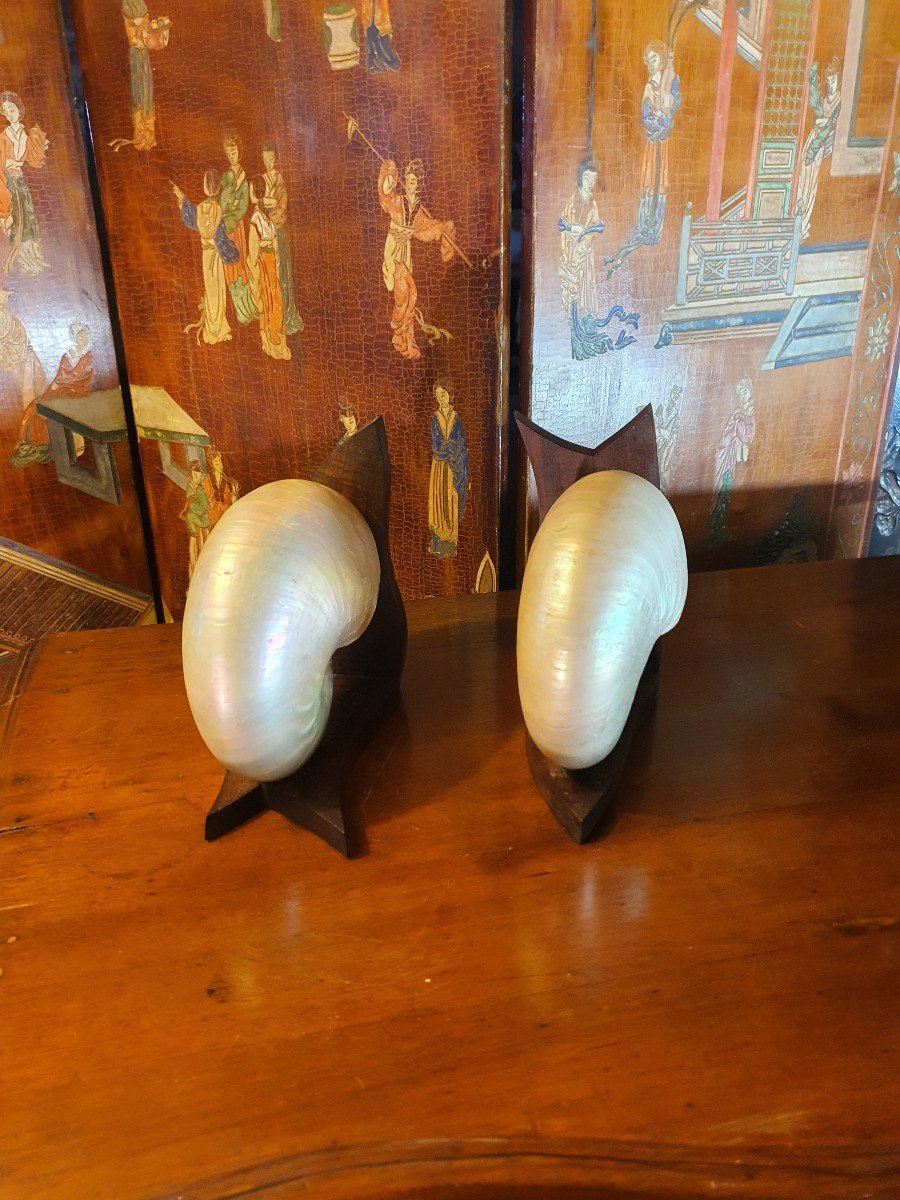Pair Of Art Deco Shell Bookends.-photo-1