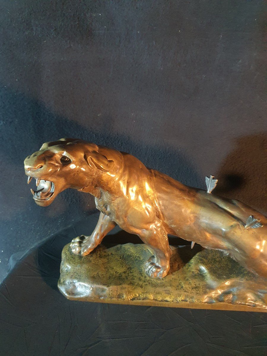 Bronze Sculpture C Valton Wounded Lioness. -photo-3