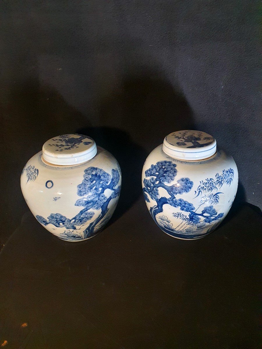 Paire De Vases Couverts Chine Style Ming.-photo-2