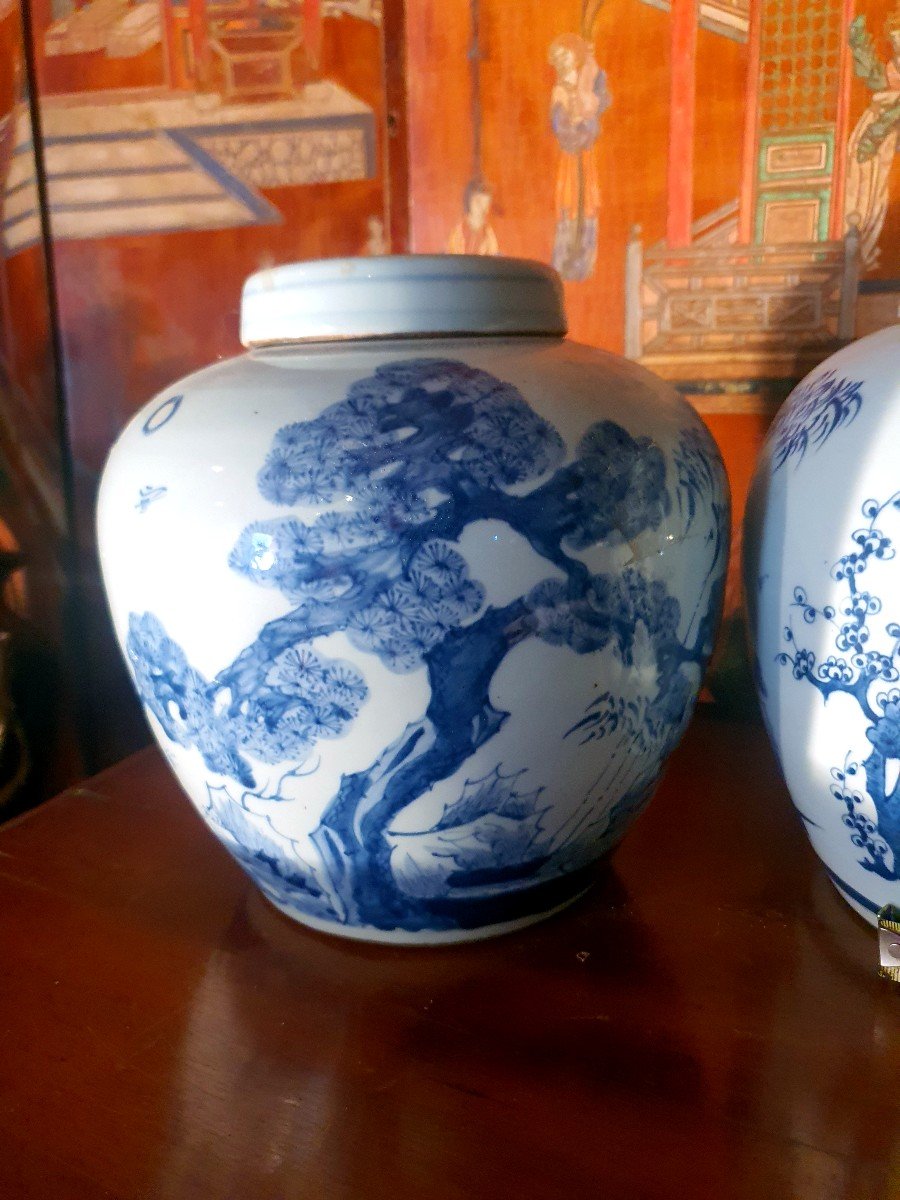 Paire De Vases Couverts Chine Style Ming.-photo-4