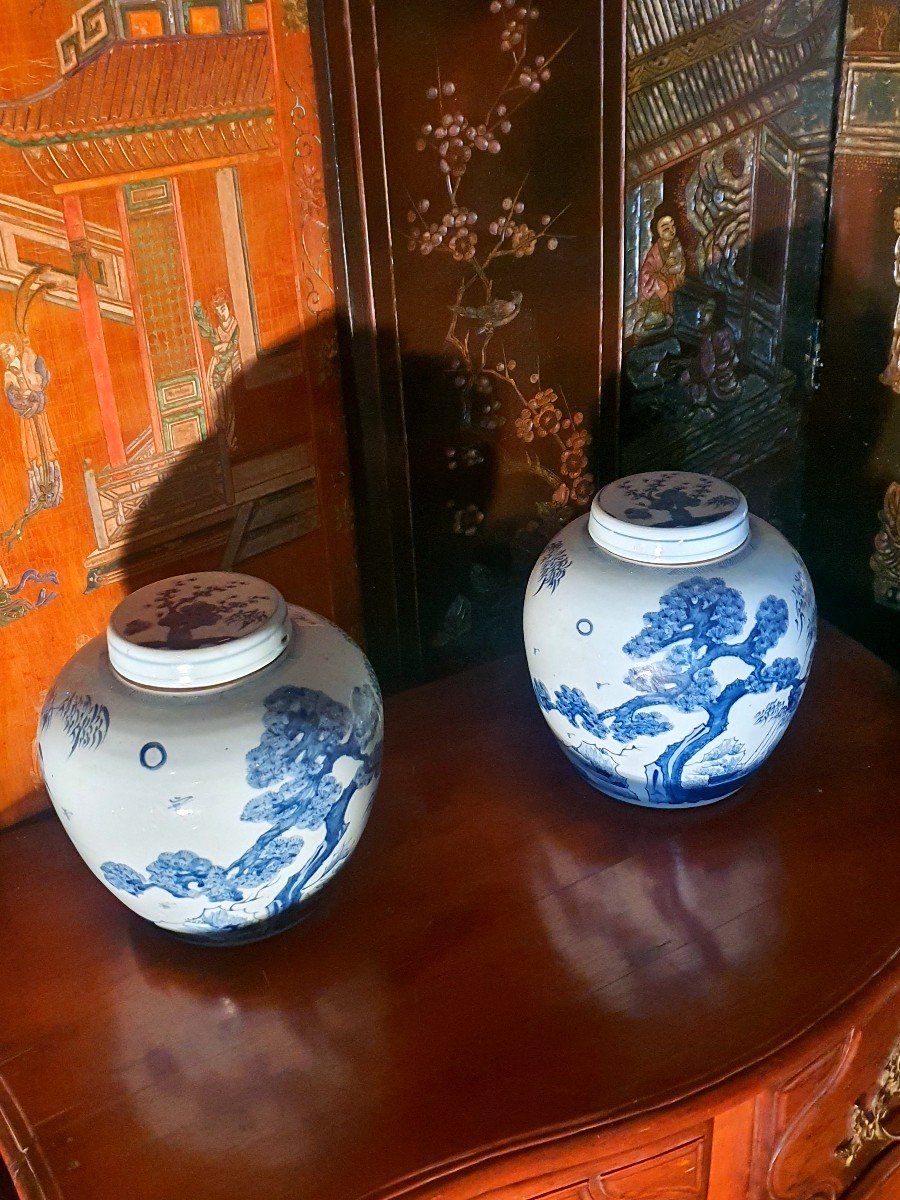 Paire De Vases Couverts Chine Style Ming.-photo-4