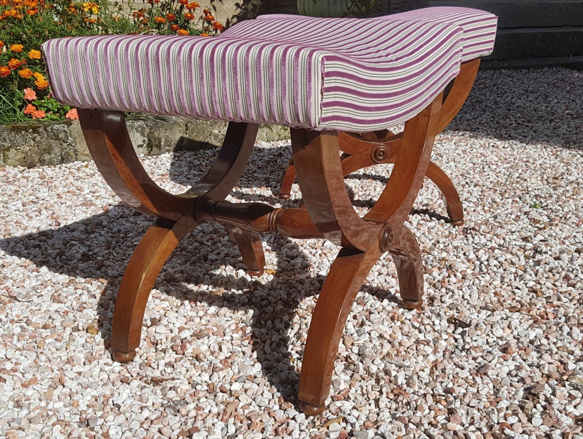 Pair Of Mahogany X Legs Stools Early 19th Century.-photo-3