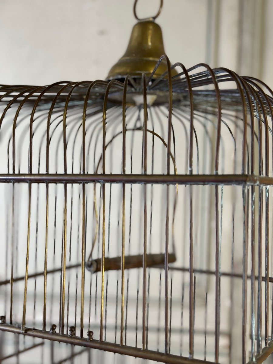 Large Brass Cage Circa 1880-photo-2