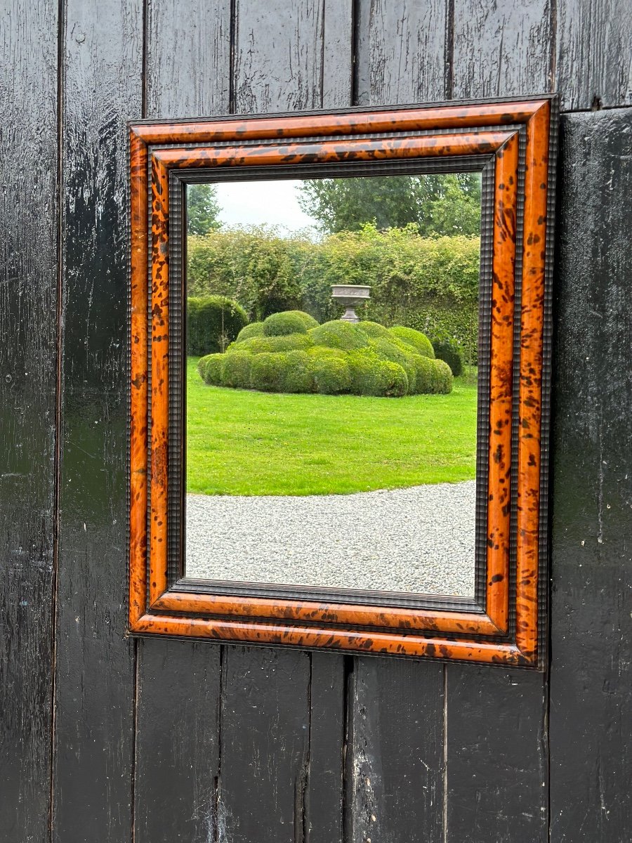 Mirror In Tortoise Shell And Curly Black Wood In The Style Of Antwerp Frames-photo-3