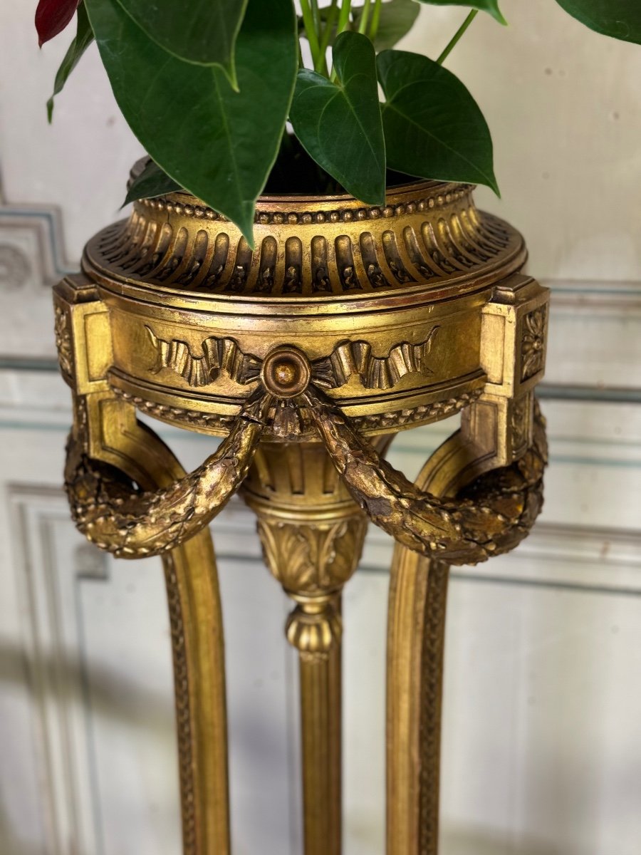 Louis XVI Style Jardiniere In Carved And Gilded Wood Circa 1900 -photo-2