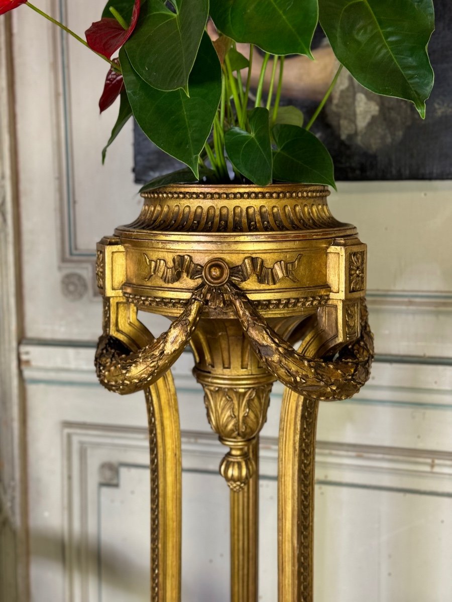 Louis XVI Style Jardiniere In Carved And Gilded Wood Circa 1900 -photo-3