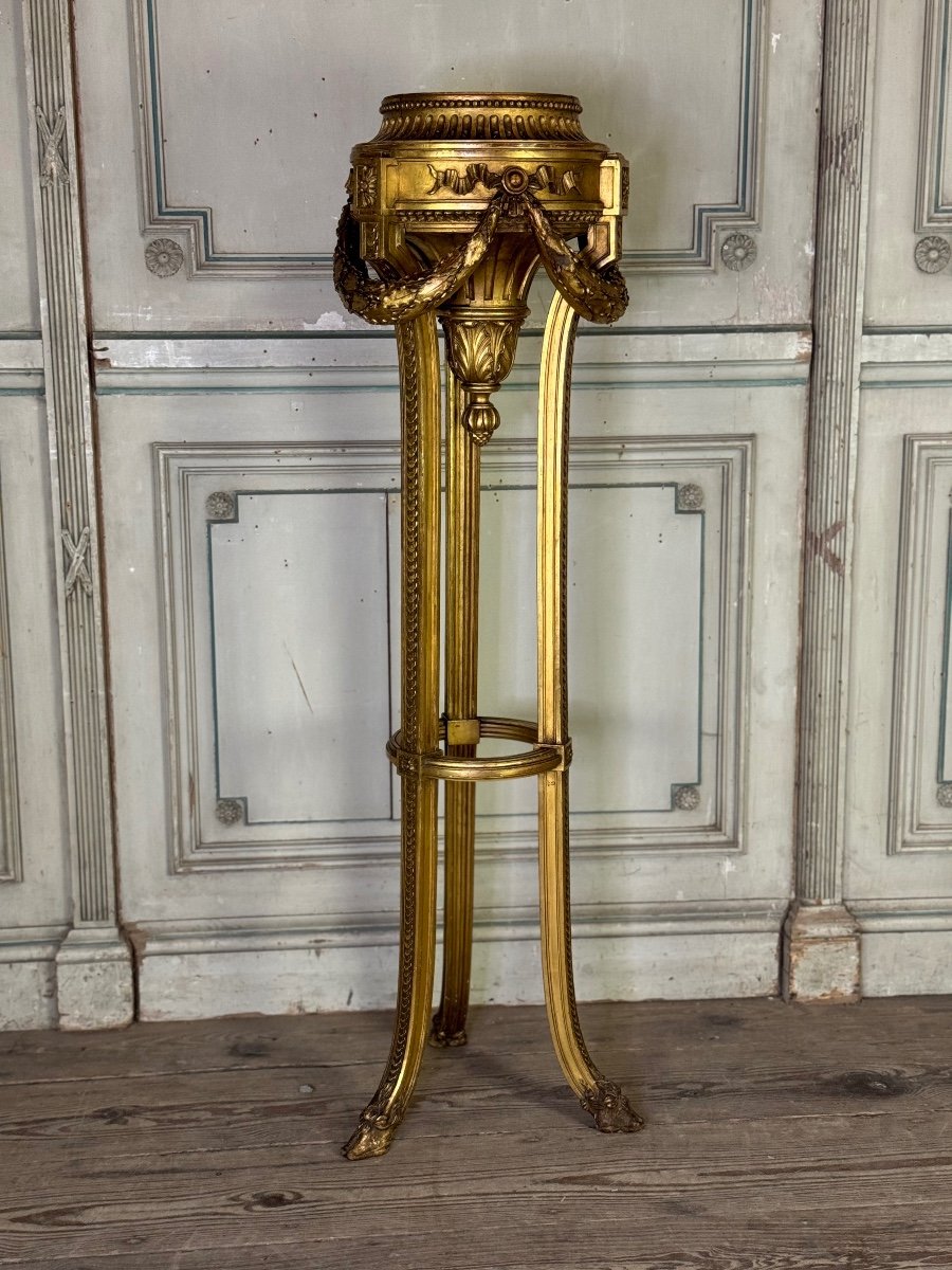 Louis XVI Style Jardiniere In Carved And Gilded Wood Circa 1900 -photo-2