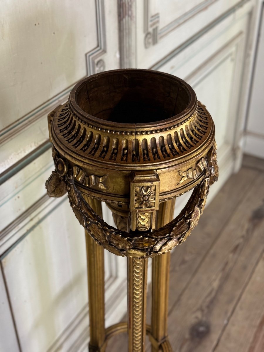 Louis XVI Style Jardiniere In Carved And Gilded Wood Circa 1900 -photo-3