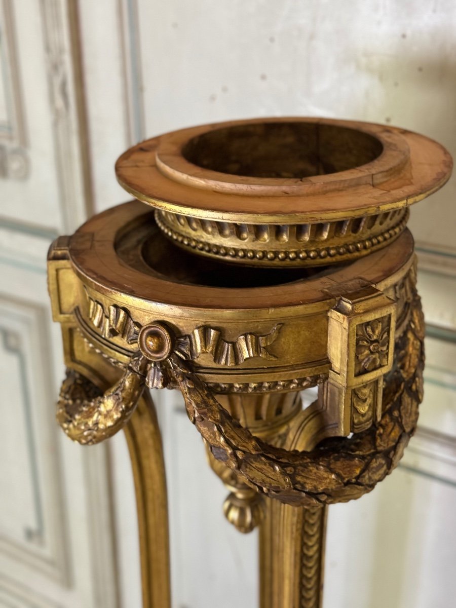 Louis XVI Style Jardiniere In Carved And Gilded Wood Circa 1900 -photo-4