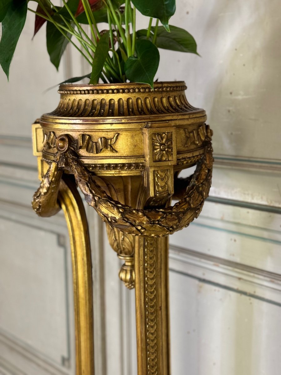 Louis XVI Style Jardiniere In Carved And Gilded Wood Circa 1900 -photo-5