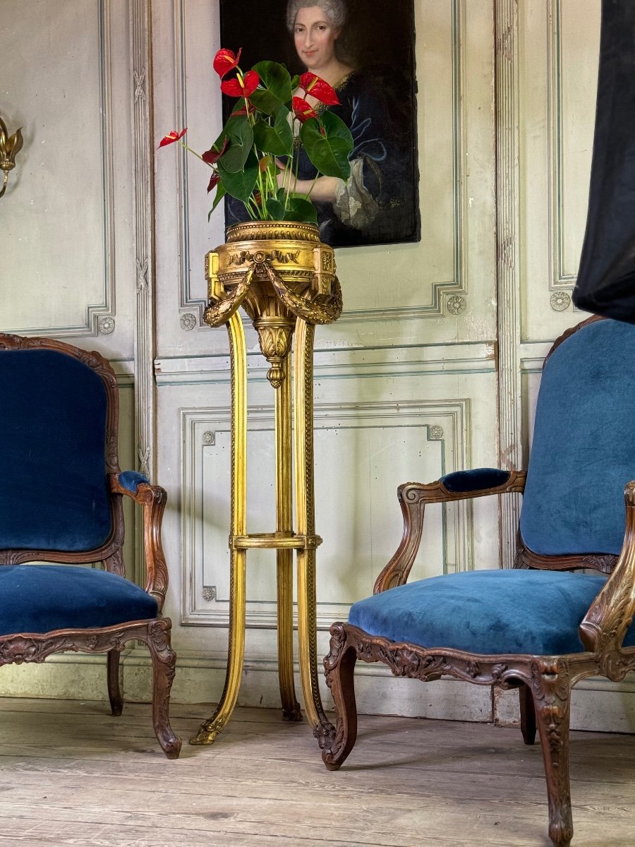 Louis XVI Style Jardiniere In Carved And Gilded Wood Circa 1900 