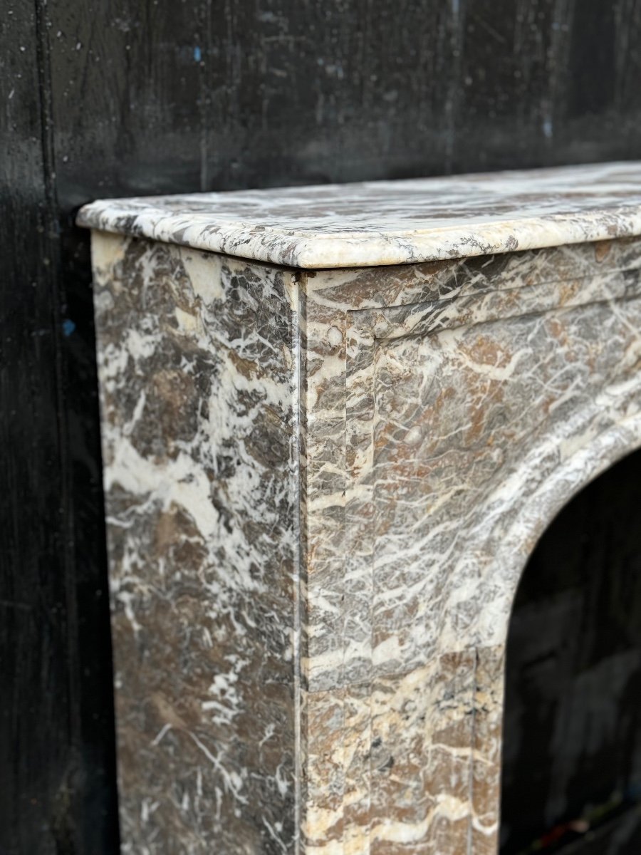 Regency Fireplace In Grey Ardennes Marble, 18th Century-photo-2