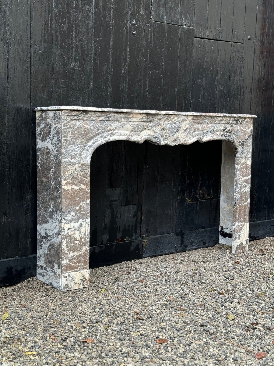 Regency Fireplace In Grey Ardennes Marble, 18th Century-photo-5