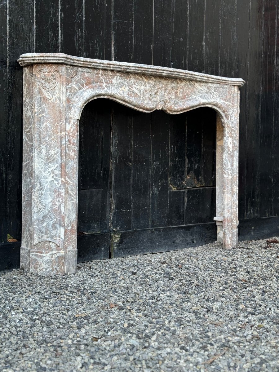 Regency Fireplace In Grey Ardennes Marble, 18th Century-photo-4